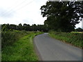 Lane towards High Burton