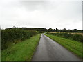 Lane towards Firby