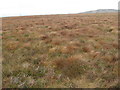 NS2766 : Duchal Moor towards Creuch Hill by Chris Wimbush