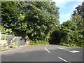 Twinways Lane, Melplash and temporary gate screen