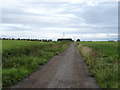 Track to Holly Bush Farm and South Lothian