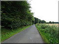 Minor road beside woodland towards the B9033