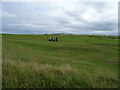 Inverallochy Golf Club