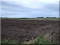 Field of the A90, Kirkton