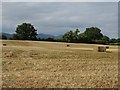 Straw bales in a stubble field