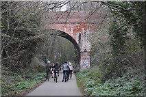 SY6777 : Buxton Road Bridge, Rodwell Trail by N Chadwick