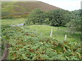 Bronze Age burial mound