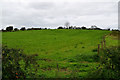 Roscavey Townland