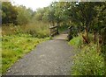 Bridge over small burn