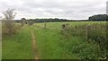 Bridleway heading to Flauden Hill