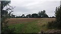 Path to Cottingham Farm