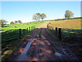 Heol fynediad i ffarm / Access road to farm