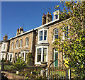 Houses on York Road, Beverley