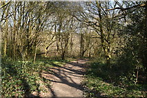 TQ5638 : Tunbridge Wells Circular Walk link path by N Chadwick