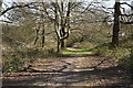 Tunbridge Wells Circular Walk link path