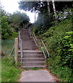 Steps up to Cwmavon Road, Blaenavon