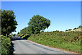 Beechtree Lane east of Caunsall in Worcestershire