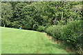 Footpath along field boundary