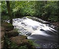 Weir on the River Rivelin