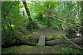 TQ3615 : Bridges on footpath East Chiltington 21 by Robin Webster