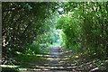 Footpath by Sevenoaks Rd