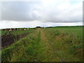 Farm track, Hill of Ardiffery