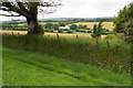 Farm track near Winstitchen Farm