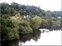SO5429 : The River Wye at Hoarwithy by Oliver Dixon