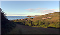 Path between Gwenter and Kennack Sands