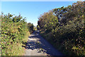 Byway between the Gwenter road and Trevenwith