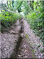 SE1327 : Eroded footpath, Shelf by Humphrey Bolton