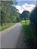 SJ9684 : Road heading South from Elmerhurst Cottage by Philip Cornwall