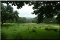 Field north of Llan Ffestiniog