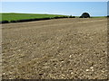 SY6487 : Bridleway across a field near Dorchester by Malc McDonald