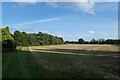 Footpath near Tillmire Farm