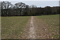 Footpath across field