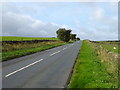 Uphill on the B6265 towards Pateley Bridge