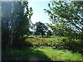 SJ4917 : View into countryside south of the Mercure Albrighton Hall Hotel by Jeremy Bolwell