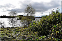 H5777 : Lough Fingrean by Kenneth  Allen