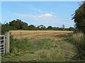 SE4757 : Field east of Green Hammerton by Gordon Hatton