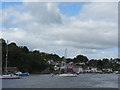 SX8654 : Lower  Dittisham  from  River  Dart by Martin Dawes