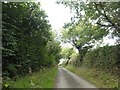 Lush greenery by road past Boconnion