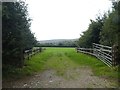 Field entrance through shelter belt