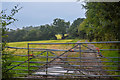 Rose Ash : Grassy Field & Gate