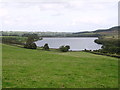 Grazing towards Leighton Reservoir