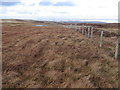 NS6509 : Fence on Hare Hill by Chris Wimbush