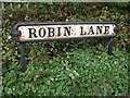 Robin Lane