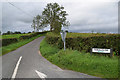 H5671 : Roeglen Road, Bracky by Kenneth  Allen