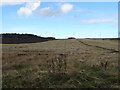 Farmland near Chanryhill