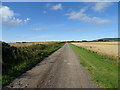 Track towards Dartfield